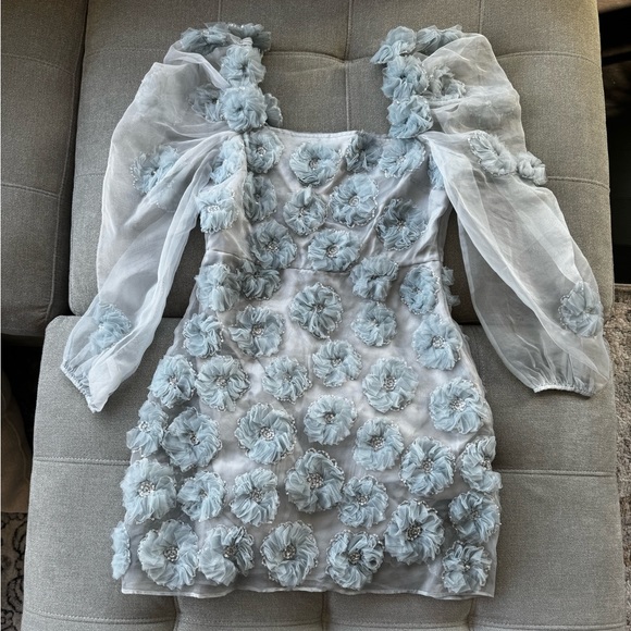 NWT LOVESHACKFANCY Wells appliquéd organza mini dress in blue size 4 - Picture 6 of 12